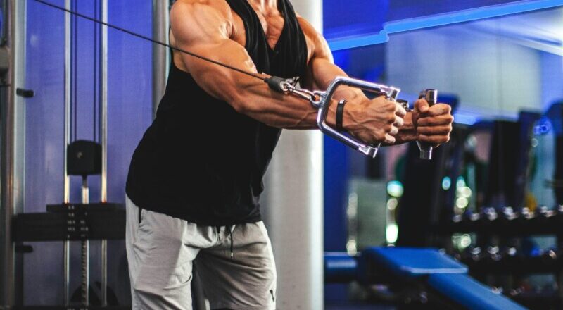 Die Vielseitigkeit der Sprossenwand: Einsatzmöglichkeiten und Übungen für effektives Training